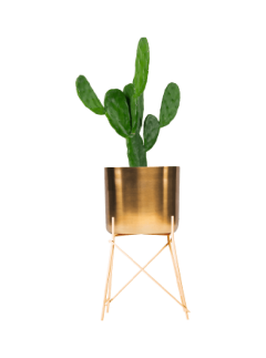 shop-lifestyle-bg-07